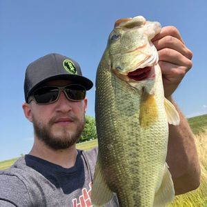 Meet your Posher, Dave